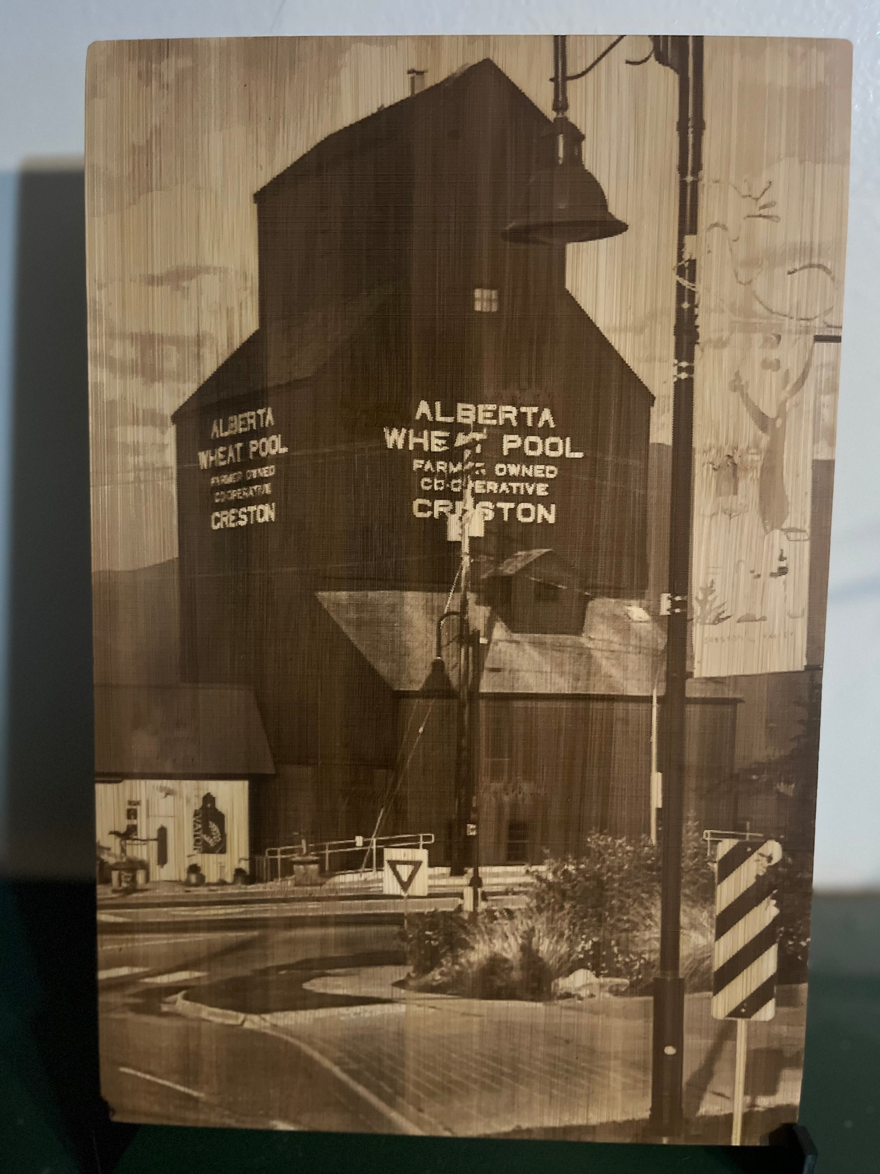 Laser Engraved Wood Portrait  20×30 cm